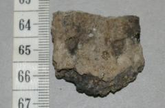 Pottery Body Sherd