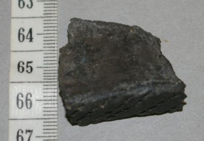 Pottery Rim Sherd