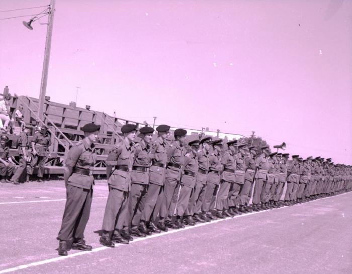 14th Canadian Hussars, Dundurn (1961);Negative