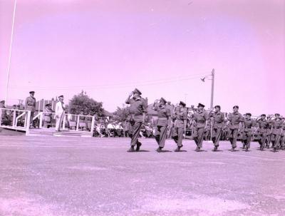 14th Canadian Hussars, Dundurn (1961);Negative