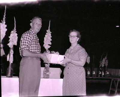 Horticultural Show (1916);Horticultural Show (1916);Negative: Horticultural Show