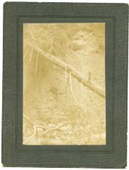 Photographic Print, Yukon prospector, J. Mack, locator