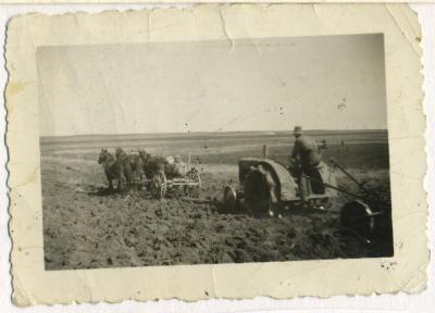 Photograph, Joe Gardner with horses helping his John Deere, 1932