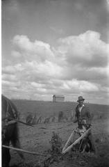 Photographic negative, Leonard 'Hymie' Hanft cultivating the garden, 1937