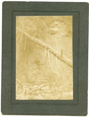 Photographic Print, Yukon prospector, J. Mack, locator