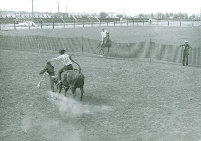 Photograph;Rodeo (1966);Rodeo (1966)