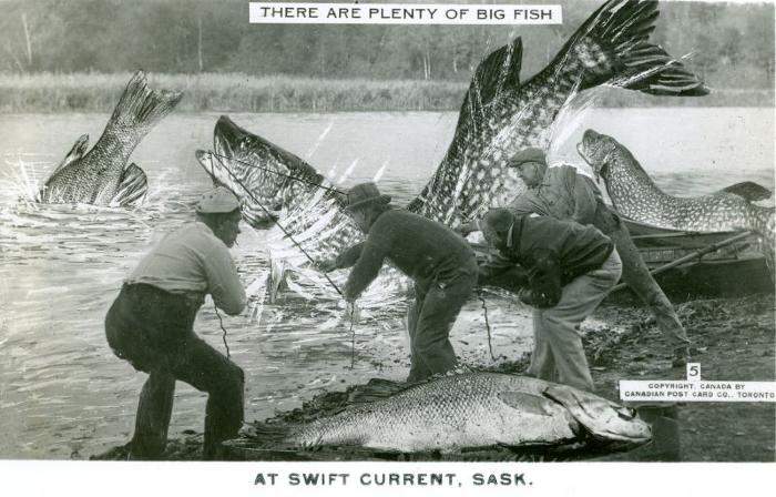 Fishing Postcard