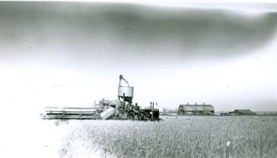 Wheat Harvest