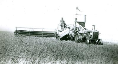 Wheat Harvest