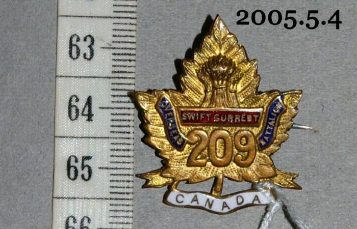 209 Battalion Swift Current Pin;209 Battalion Swift Current Pin;209 Overseas Battalion Pin