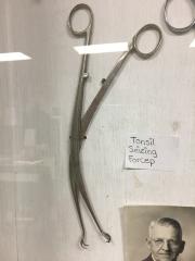 tonsil forceps