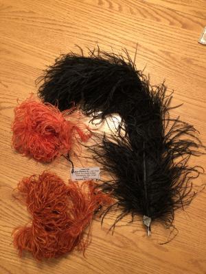 Feather Plumes (3)