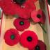 poppies in a box