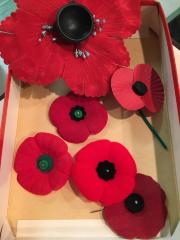 poppies in a box