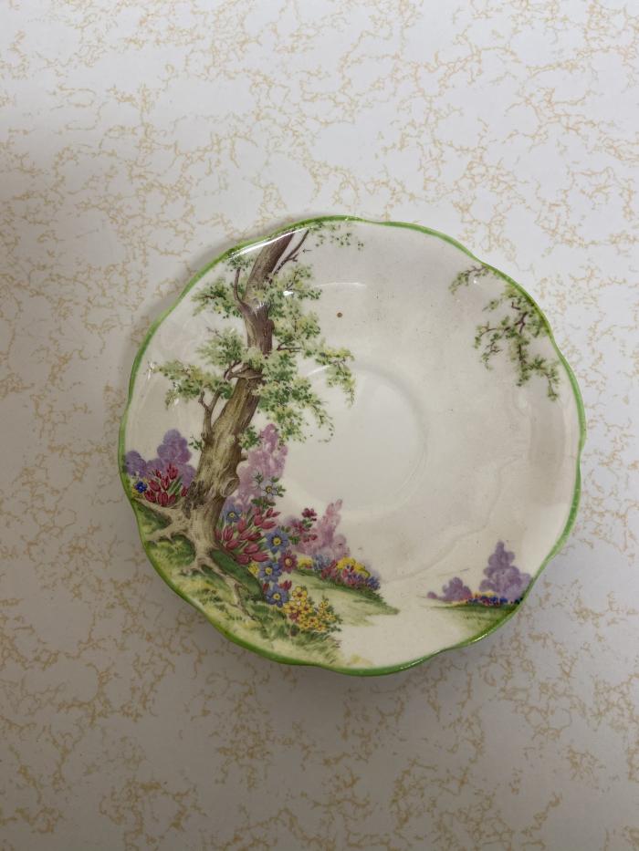 "Greenwood Tree" China Saucer