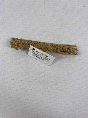 Sage: <i>used for ceremonies, smudging and medicine</i>