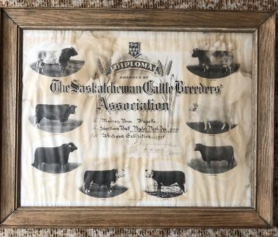 Saskatchewan Cattle Breeders Association Diploma