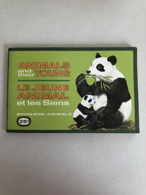 Picture Card Album - Animals and Their Young