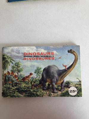 Picture Card Album - Dinosaurs