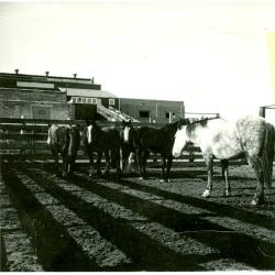 Aerial Image of Alsask Processors Limited (c.1950)