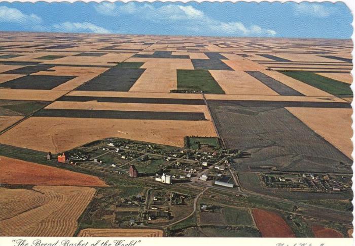 Bread Basket of the World Postcard