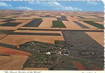 Bread Basket of the World Postcard