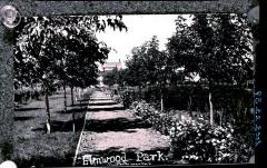 Elmwood Park (c.1920)