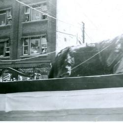 Parade (c.1948)