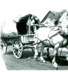 Frontier Days Parade