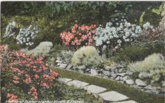 Corner of Butchart's Gardens, Victoria, British Columbia Canada. Postcard