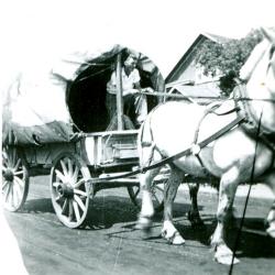 Frontier Days Parade