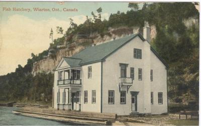 Fish Hatchery, Wiarton, Ontario Postcard