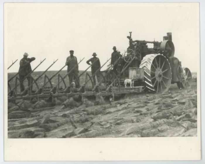 Steamer Plough Crew