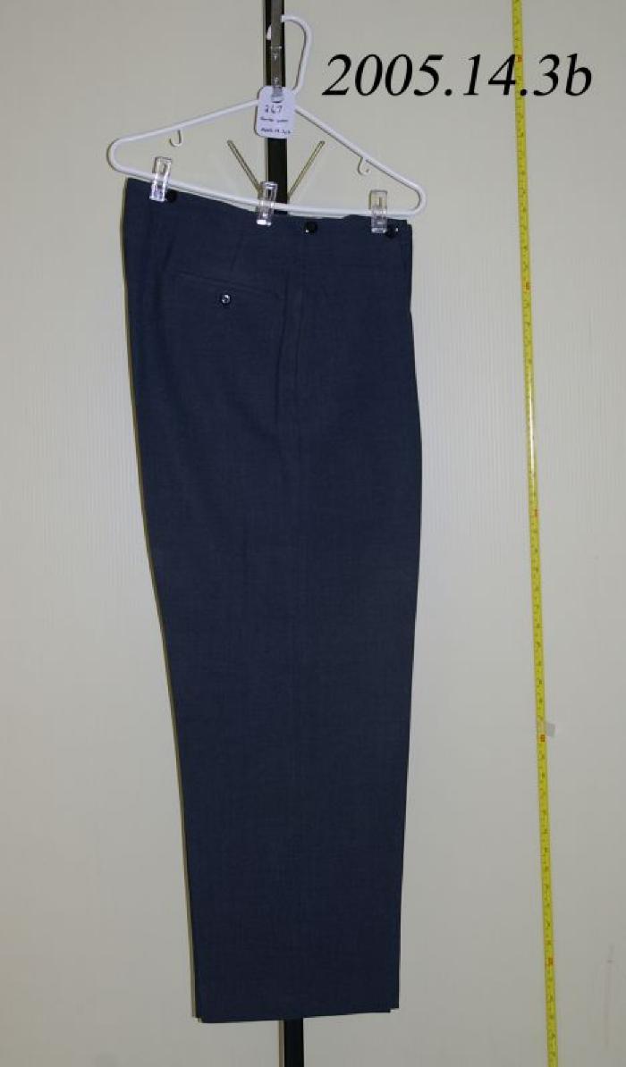 Royal Canadian Air Force Pants