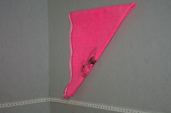 Pink Bandana