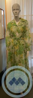 Green and Yellow Sheer Dress