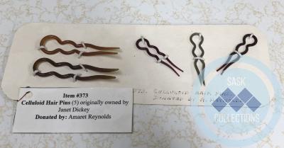 Hair Pins (5)