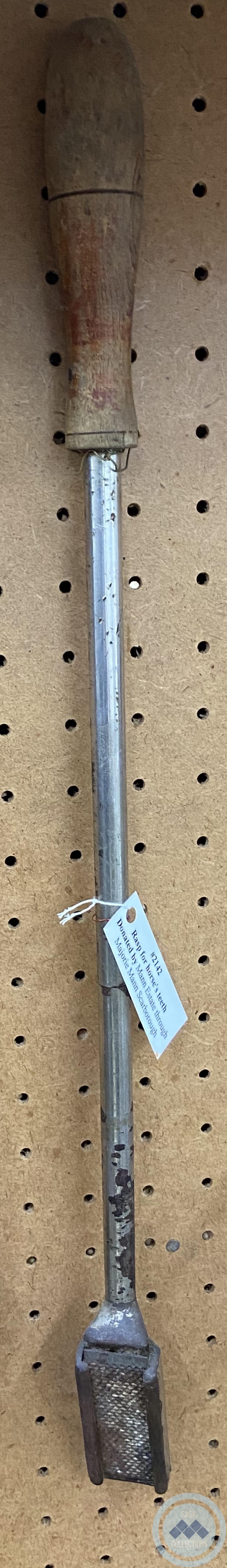 Rasp for horse teeth