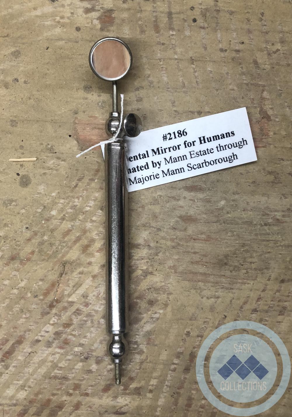 Dental Mirror For Humans