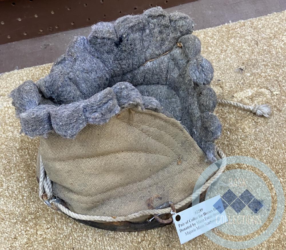 Collar for Horse Hoof