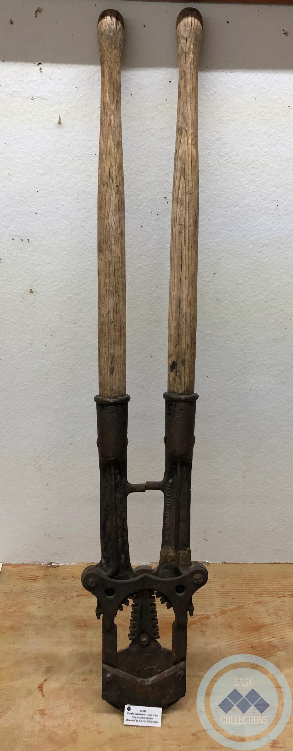 Cattle Dehorners - long wooden handles over 3 feet in length