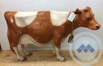 Cow - Made of paper mache. Gift of David Aldous and sister Joyce Badham nee Aldous. This cow was used in a store window in Weyburn as "Elsie the Cow" for Borden Milk. It was seen there by Joyce whose group of Sunday School girls were sponsoring a program of milk as a missionary undertaking. She thought if she could borrow the cow to use at the church tea the proceeds could be deposited in a milk bottle. The store agreed telling Joyce to keep it until the salesman called to pick it up. No one ever came.