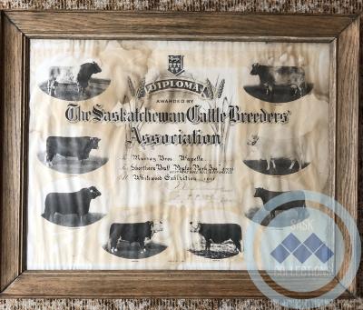 Saskatchewan Cattle Breeders Association Diploma