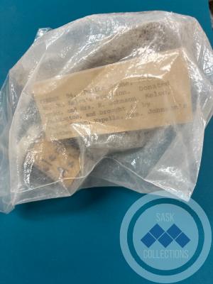 Pumice Stone