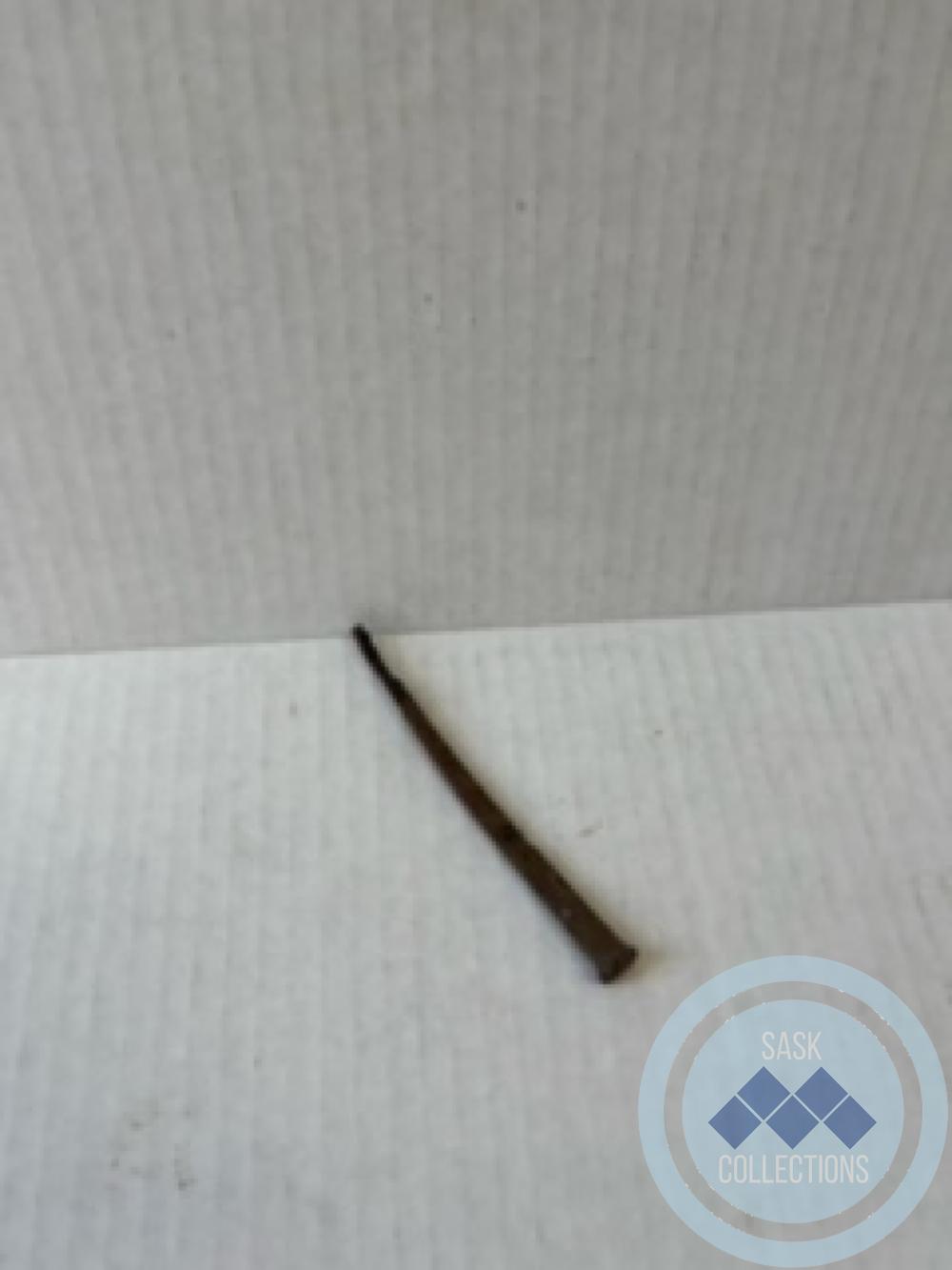 Flat, rusted nail, square head.