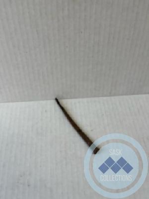 Flat, rusted nail, square head.