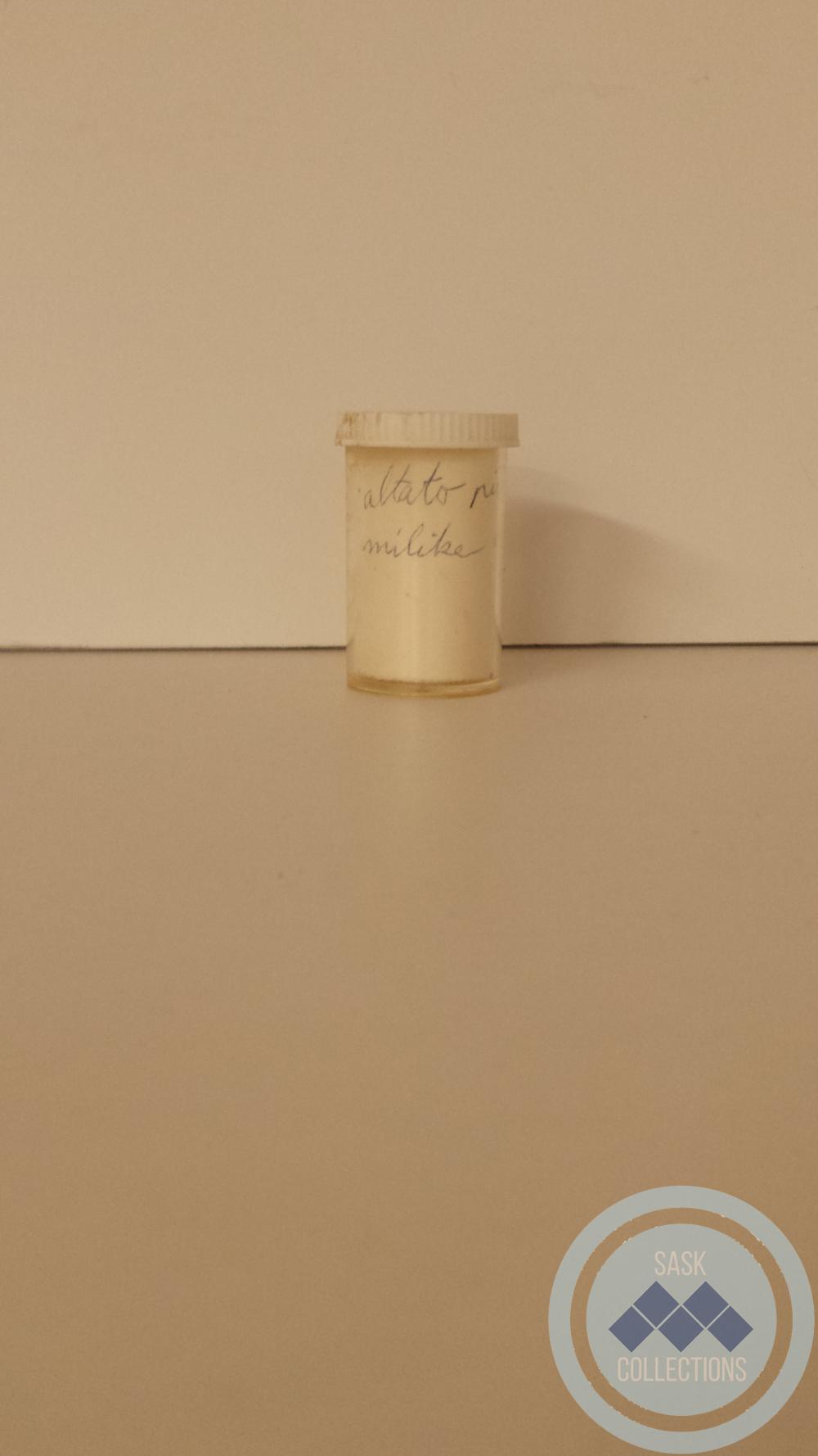 Clear, cylinder, pill capsule with a white lid with yellow pills inside. 