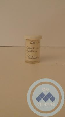 A white small pill capsule. 