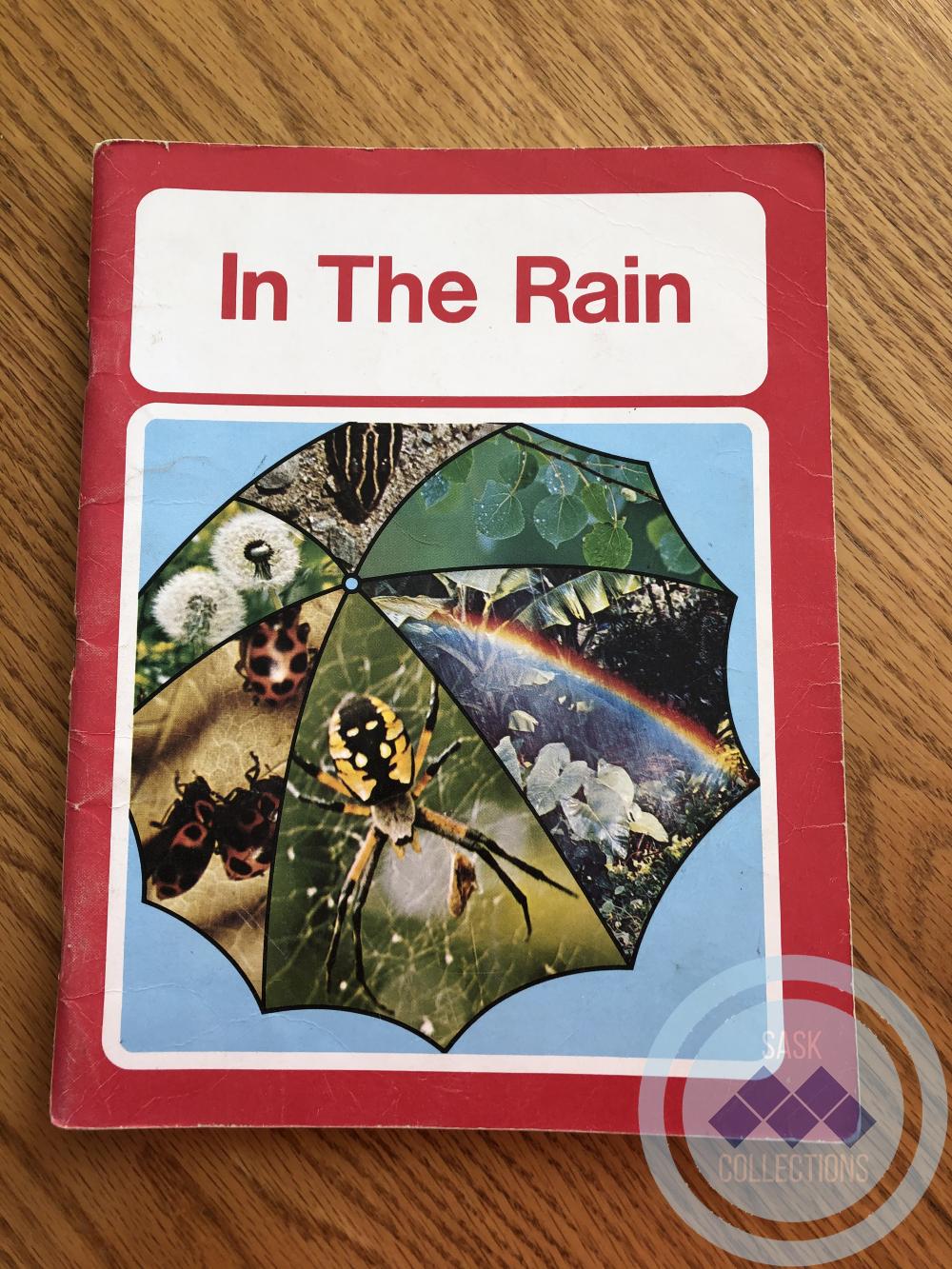 Book - In The Rain