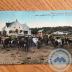 Postcard - Western Canada Homestead